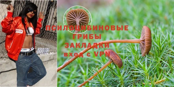 дмт Зеленодольск