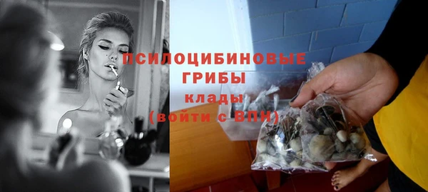 дмт Зеленодольск