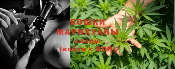 ALPHA-PVP Инсар