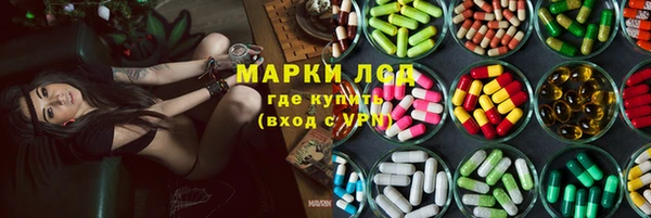 ГАЛЛЮЦИНОГЕННЫЕ ГРИБЫ Инта