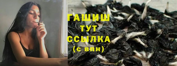 ГАЛЛЮЦИНОГЕННЫЕ ГРИБЫ Инта