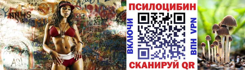 как найти   Калачинск  блэк спрут зеркало  Псилоцибиновые грибы прущие грибы 